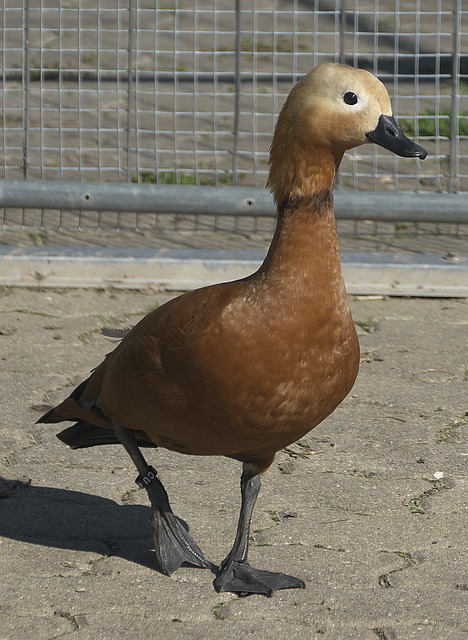 就业
